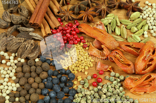 Image of Spices and herbs