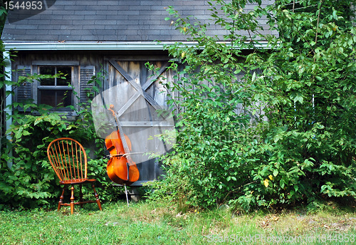 Image of Cello