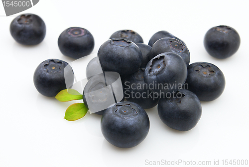 Image of Fresh blueberry 