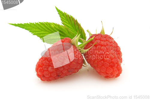 Image of Raspberry with leaves