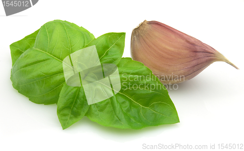 Image of Garlic with basil