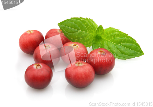 Image of Berry of cranberry with leaves of mint