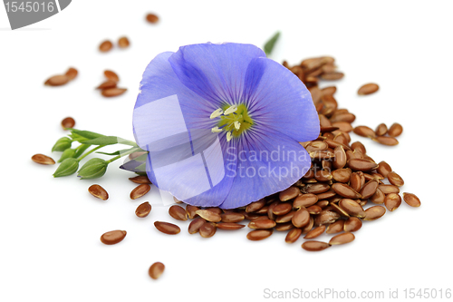 Image of Flax seeds with flower