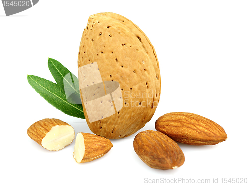 Image of Almonds