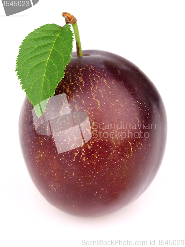 Image of Sweet plum