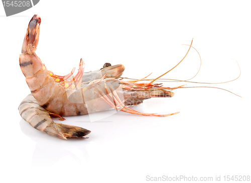 Image of Black Tiger Shrimp