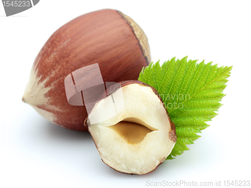 Image of Tasty hazelnut with leaves