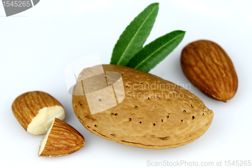 Image of Dried almond with kernel