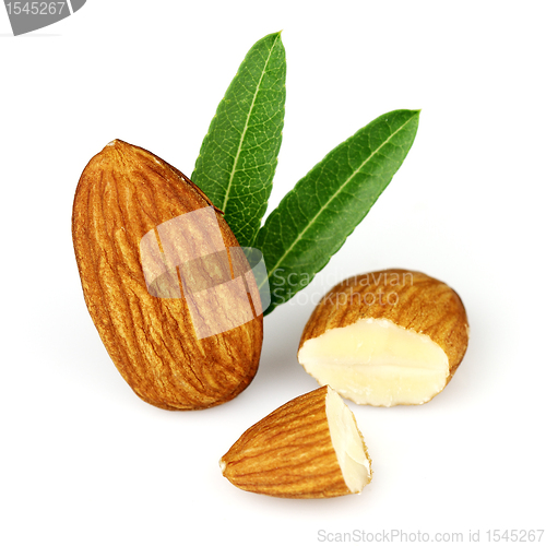 Image of Almonds kernel with leaves