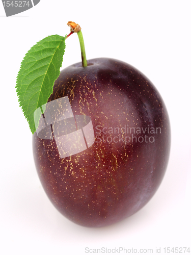 Image of Ripe plum with leaves