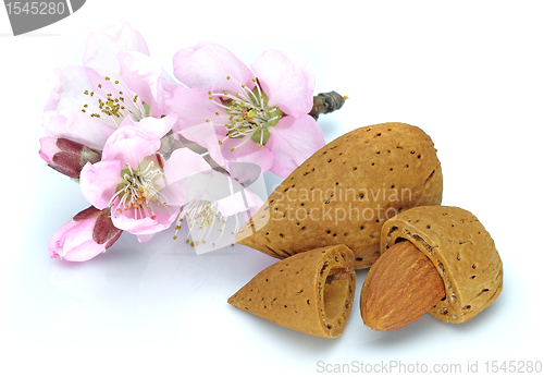 Image of Almonds with flowers