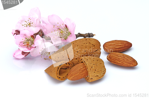 Image of Almonds with pink flowers