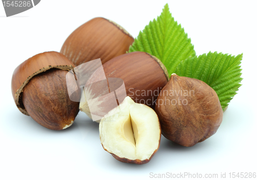 Image of Hazelnuts