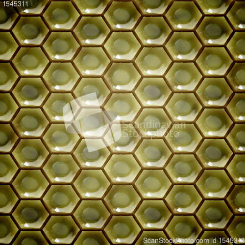 Image of honeycomb