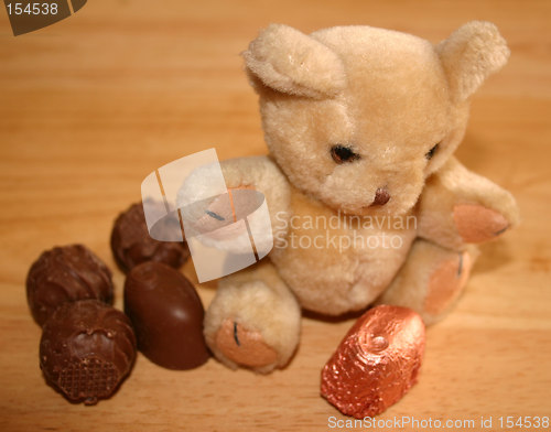 Image of chocolate treat for teddy