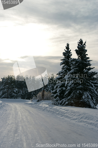 Image of Winter Landscape