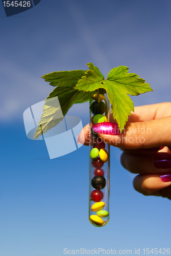 Image of test tube with tablets, berries and plant