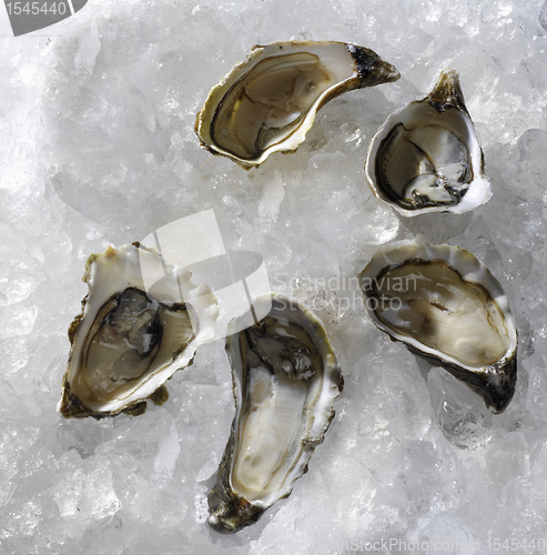 Image of fresh oysters traditional wedding breakfast