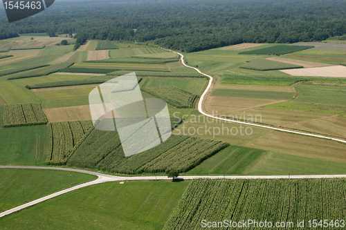 Image of Meadows and fields. Aerial image