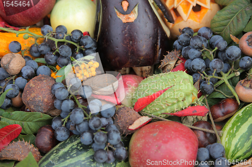 Image of Autumn Harvest