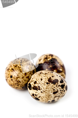 Image of three quail eggs