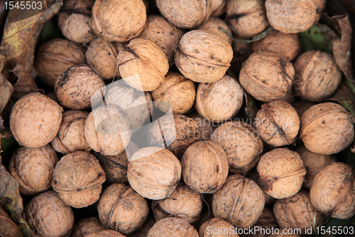 Image of Walnuts