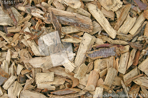 Image of bark