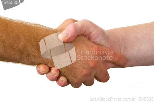 Image of Shake hands