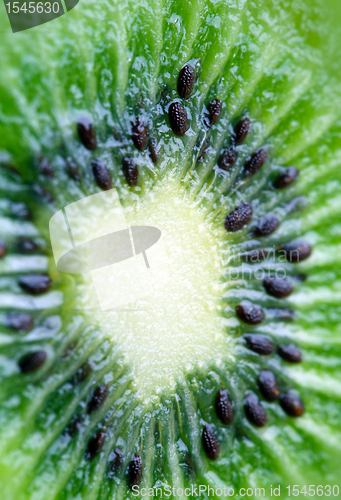 Image of close up of a healthy kiwi fruit 