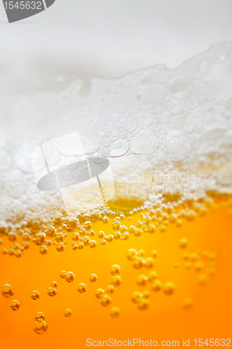 Image of beer 