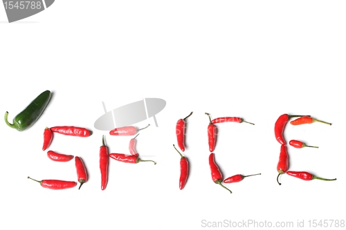 Image of spice text made from real red chillies