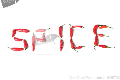 Image of spice text made from real red chillies