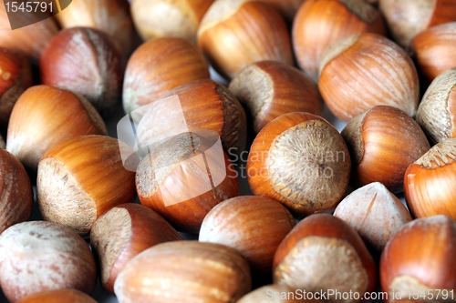 Image of hazelnut texture