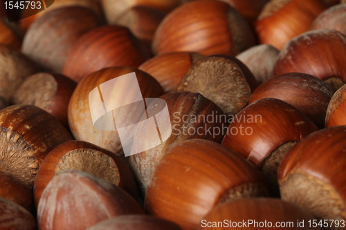 Image of hazelnut texture