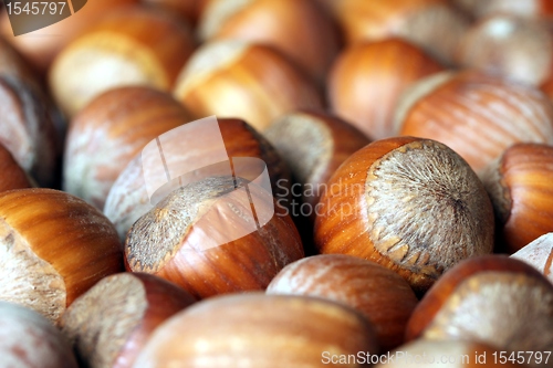 Image of hazelnut texture