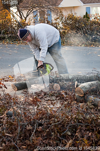 Image of Man Cuts Tree Limbs with a Chainsaw