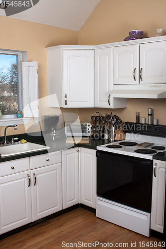 Image of Clean Contemporary Kitchen Interior