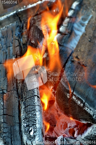 Image of wood fire