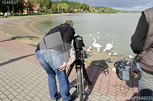 Image of Operator shooting the water birds swans pigeons