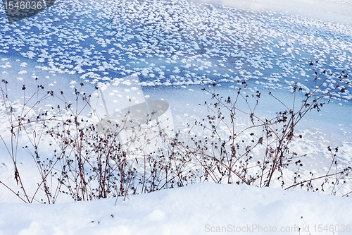 Image of Winter scene