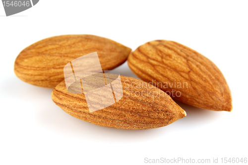 Image of Dried kernel of almond