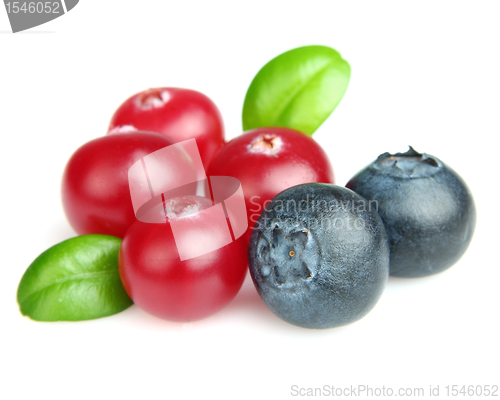 Image of Cranberry with blueberry