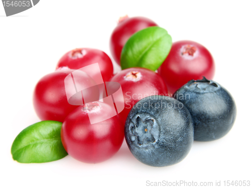 Image of Fresh berry with leaves