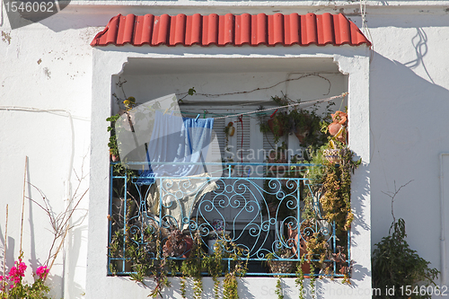 Image of Botanical balcony