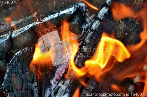 Image of wood fire