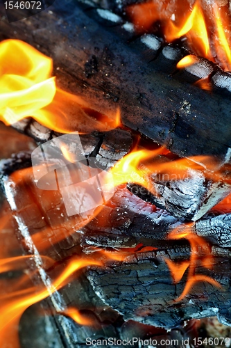 Image of wood fire