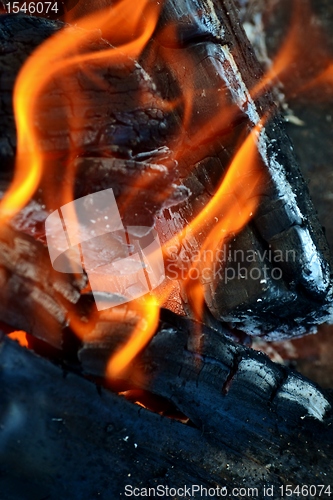 Image of wood fire