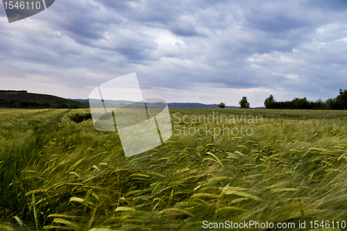 Image of landscape in south west germany