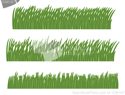 Image of green grass