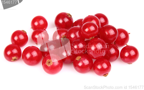 Image of Fresh currant